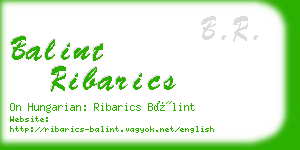balint ribarics business card